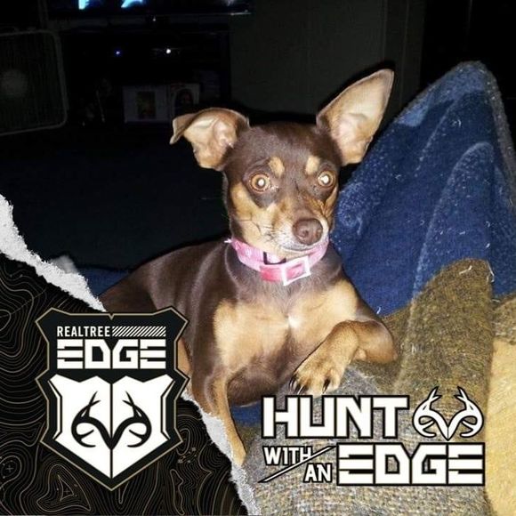 Meet your Posher, Carlos - Picture 1 of 1